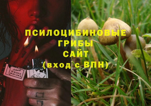 мяу мяу мука Алексеевка