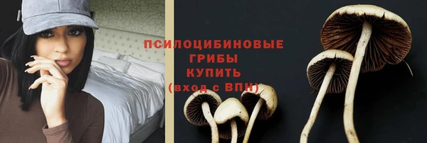 герыч Алексин